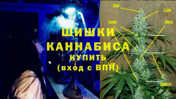 мяу мяу мука Новодвинск