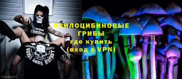 мяу мяу мука Новодвинск